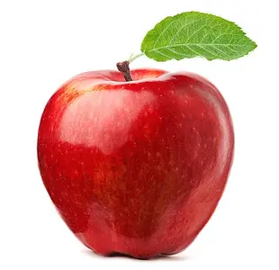Apple.webp