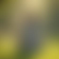 Your Ideal Holistic Health Guide: Achieve Ideal Holistic Health Today