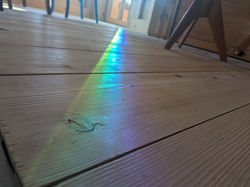 PXL_20241024_142811700