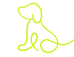 Puppybegeleiding