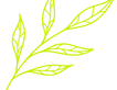 Blad