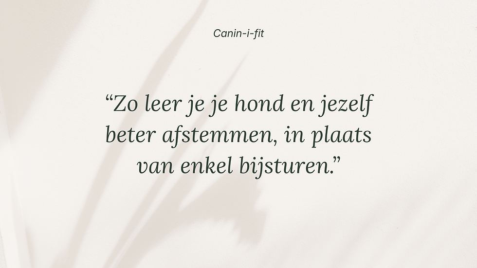 quote over hond en mens beter afstemmen in plaats van corrigeren, in zachte natuurlijke setting