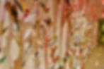 image00025.jpeg