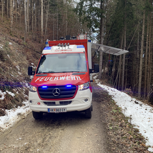 T1 Unwetter - Baum über Straße