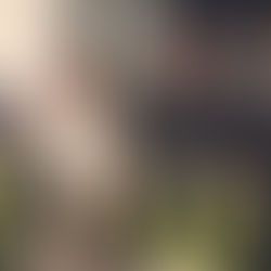 Einsatzuniformen „KS-03“ offiziell übergeben