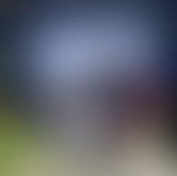 T Person 1, Suchaktion