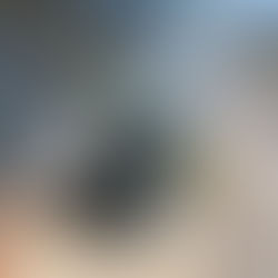 Beginnender Mistkübelbrand