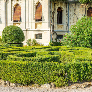 Landscape Site Consultation