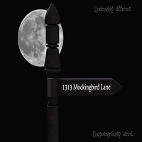 1313 LOGO.png