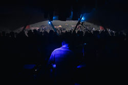 LN25_site©CésarBurton-100