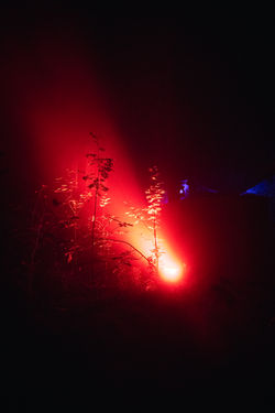 LN25_site©CésarBurton-130