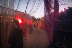 LN25_site©CésarBurton-8