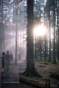 LN25_site©CésarBurton-91