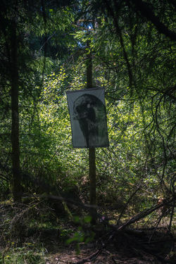 LN25_site©CésarBurton-44
