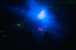 LN25_site©CésarBurton-123