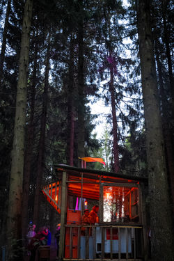 LN24_FullStory©CésarBurton-173