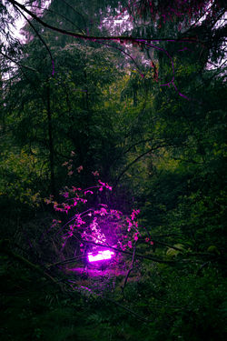 LN24_FullStory©CésarBurton-77