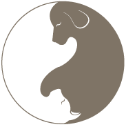 Zen Pet Otel - İstanbul Yeşilköy