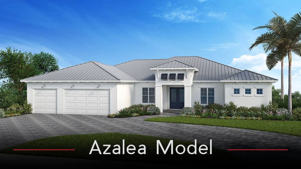 Azalea Model