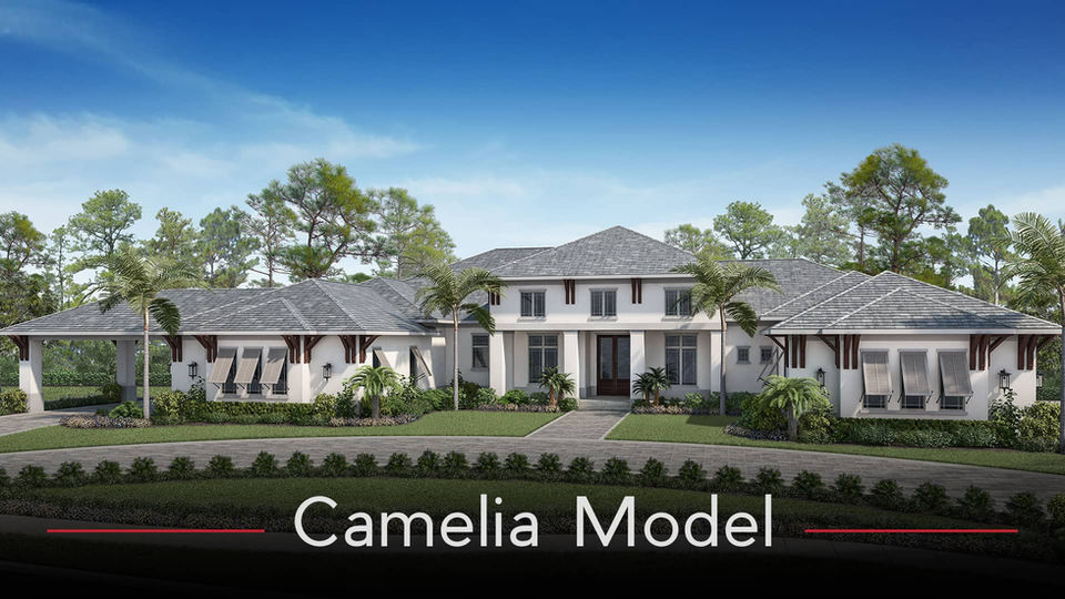 Camelia Model