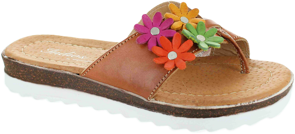 Miniatura: MOD:23-605 Corrida: 22-27 Precio con 12 prs: $ 2532 MXN