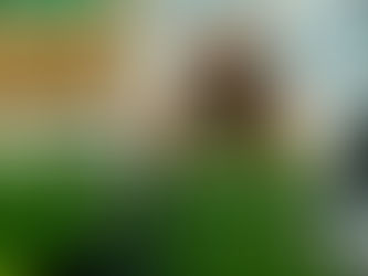 The Faces of ShopRite: Portraits from my on-site photo branding sessions