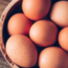 LARGE EGGS