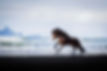 IMG_6344-Edit.jpg