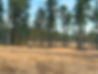 Kick it Back RV Park