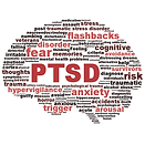 Homeopathic support for PTSD, trauma triggers, and hypervigilance