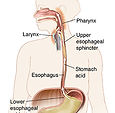 Digestive disorders icon – bloating, IBS, acidity, gut imbalance illustration