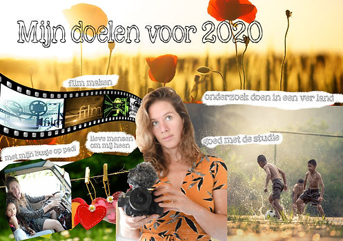 doelen 2020.jpg