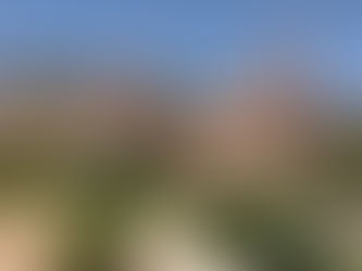 CASTILLO MONUMENTO COLOMARES (1987-1994)