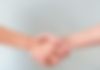 pexels handshake edited.png