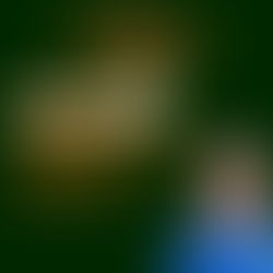 A quote from CEO of Cure Parkinson's Helen Matthews which reads: "One of the most important things is attracting industry investment in to Parkinson's research."