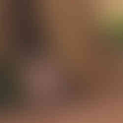 Small door in the tall grass