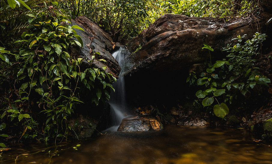 Water falls across stone, into a pool surrounded by a lush forest.