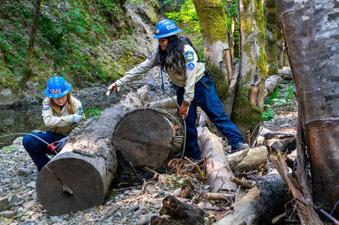 Two CCC Corpsmembers wrap steel cables around logs.