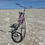 Thumbnail: Beach cruiser with rack.
