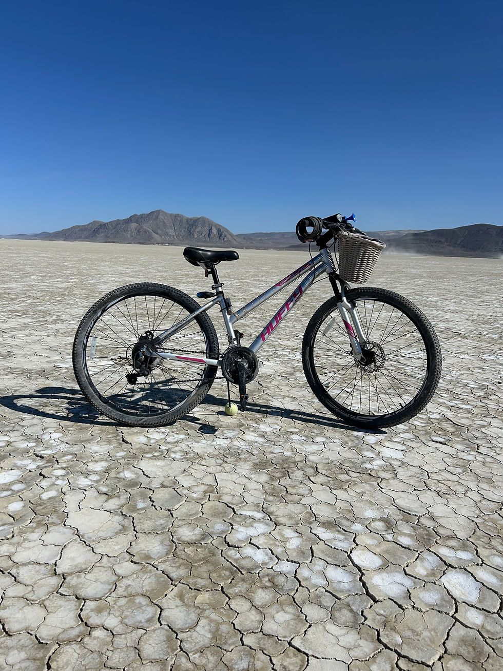 Mountain bike with accessories 001
