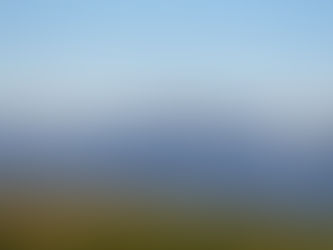 Story behind the image: Deer blocking my view in Olympic National Park