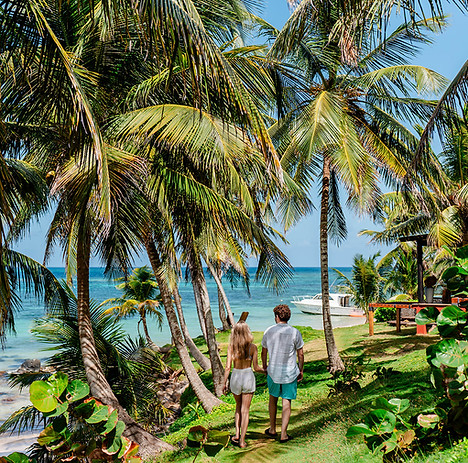 Beachfront property.jpg