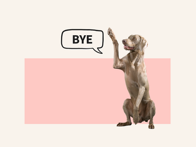 Dzog waving goodbye to represent degoogling