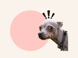 News Anxiety Got You Doomscrolling? Try These 5 HARDCORE Relief Tactics