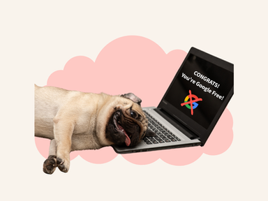 A pug napping on a laptop with the words "Congrats! You're Google Free!"