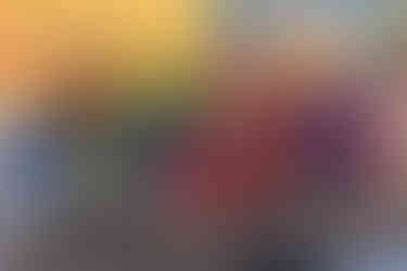 Jenny Brook Kids Academy Austin Scelzo