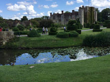 ANNE BOLEYN'S GARDEN