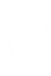 これなに？.png