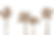 3_edited_edited.png