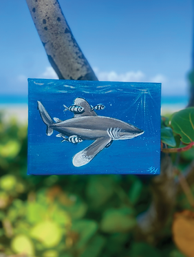 shark painting